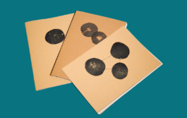 alexandraruppert.com