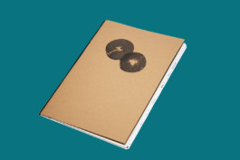 alexandraruppert.com