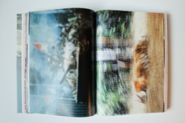 alexandraruppert.com