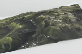 alexandraruppert.com