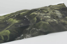 alexandraruppert.com