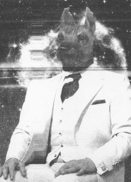 alexandraruppert.com