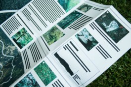 alexandraruppert.com