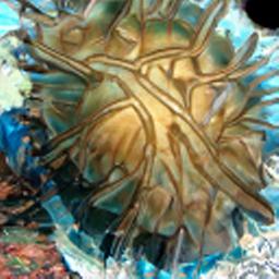 alexandraruppert.com