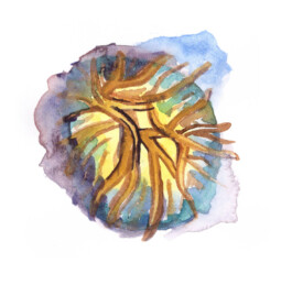 alexandraruppert.com