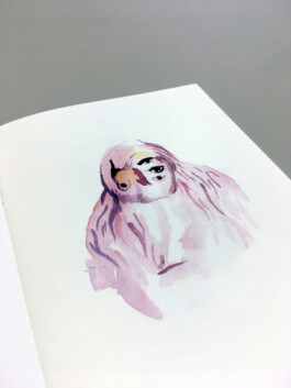 alexandraruppert.com