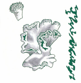 alexandraruppert.com